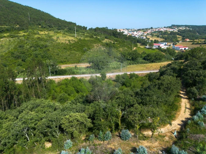 Terreno para Venda em Igreja Nova e Cheleiros Foto 3