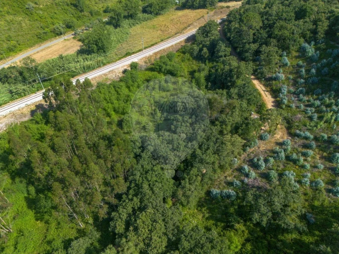 Terreno para Venda em Igreja Nova e Cheleiros Foto 5