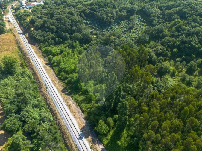 Terreno para Venda em Igreja Nova e Cheleiros Foto 7