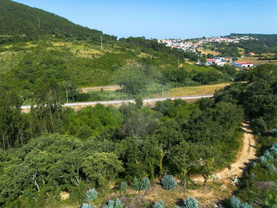 Terreno para Venda em Igreja Nova e Cheleiros Foto 3