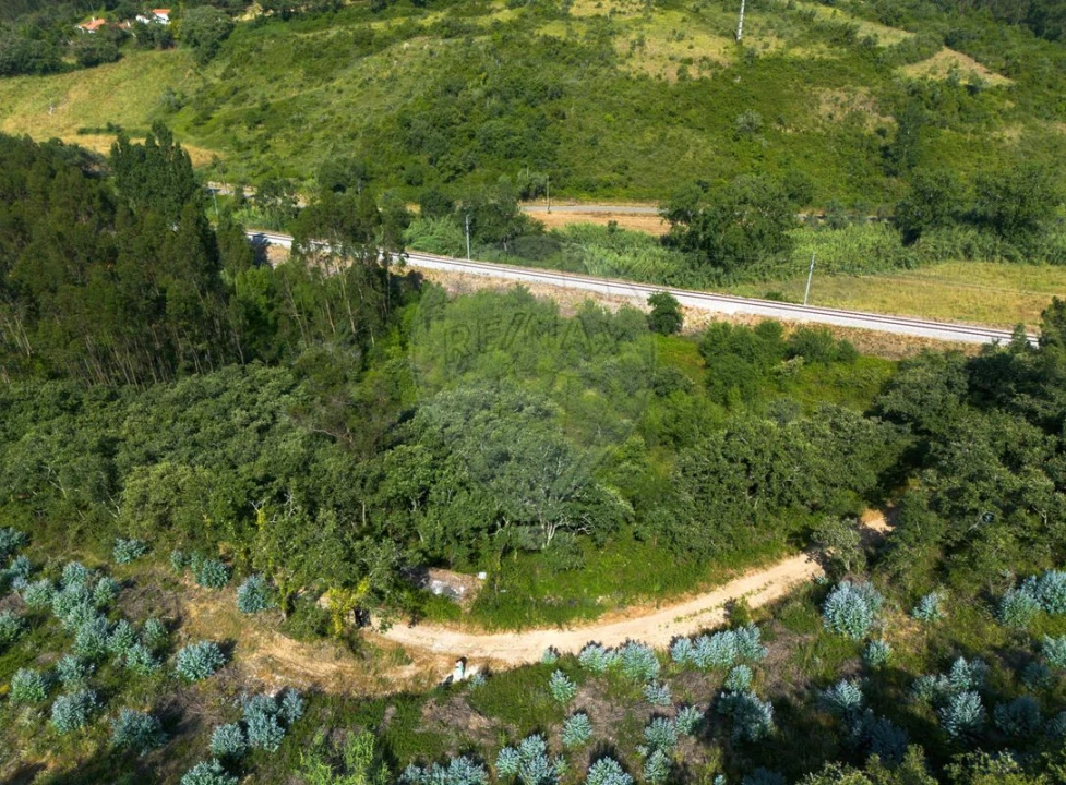 Terreno para Venda em Igreja Nova e Cheleiros Foto 1