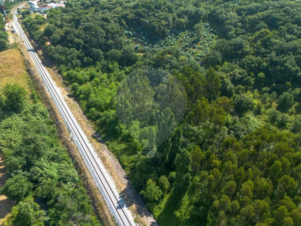 Terreno para Venda em Igreja Nova e Cheleiros Foto 7