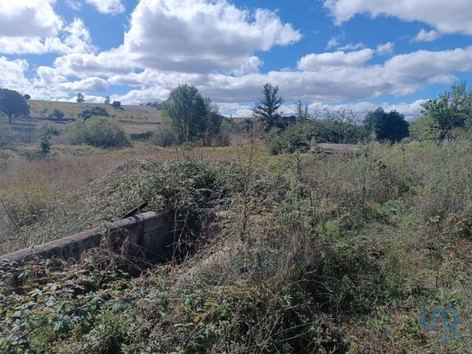 Terreno para Venda em Azinhoso Foto 2