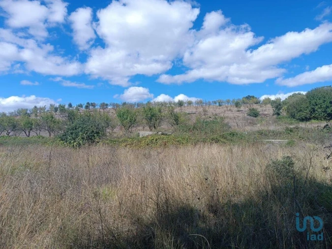 Terreno para Venda em Azinhoso