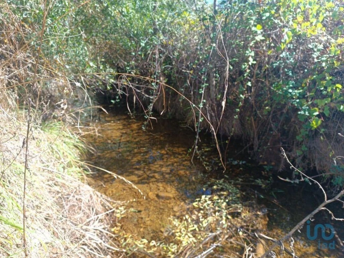 Terreno para Venda em Azinhoso Foto 4