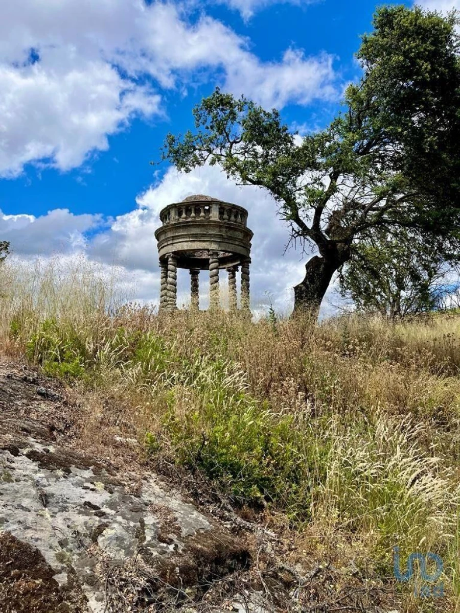 Terreno para Venda em Azinhoso Foto 5