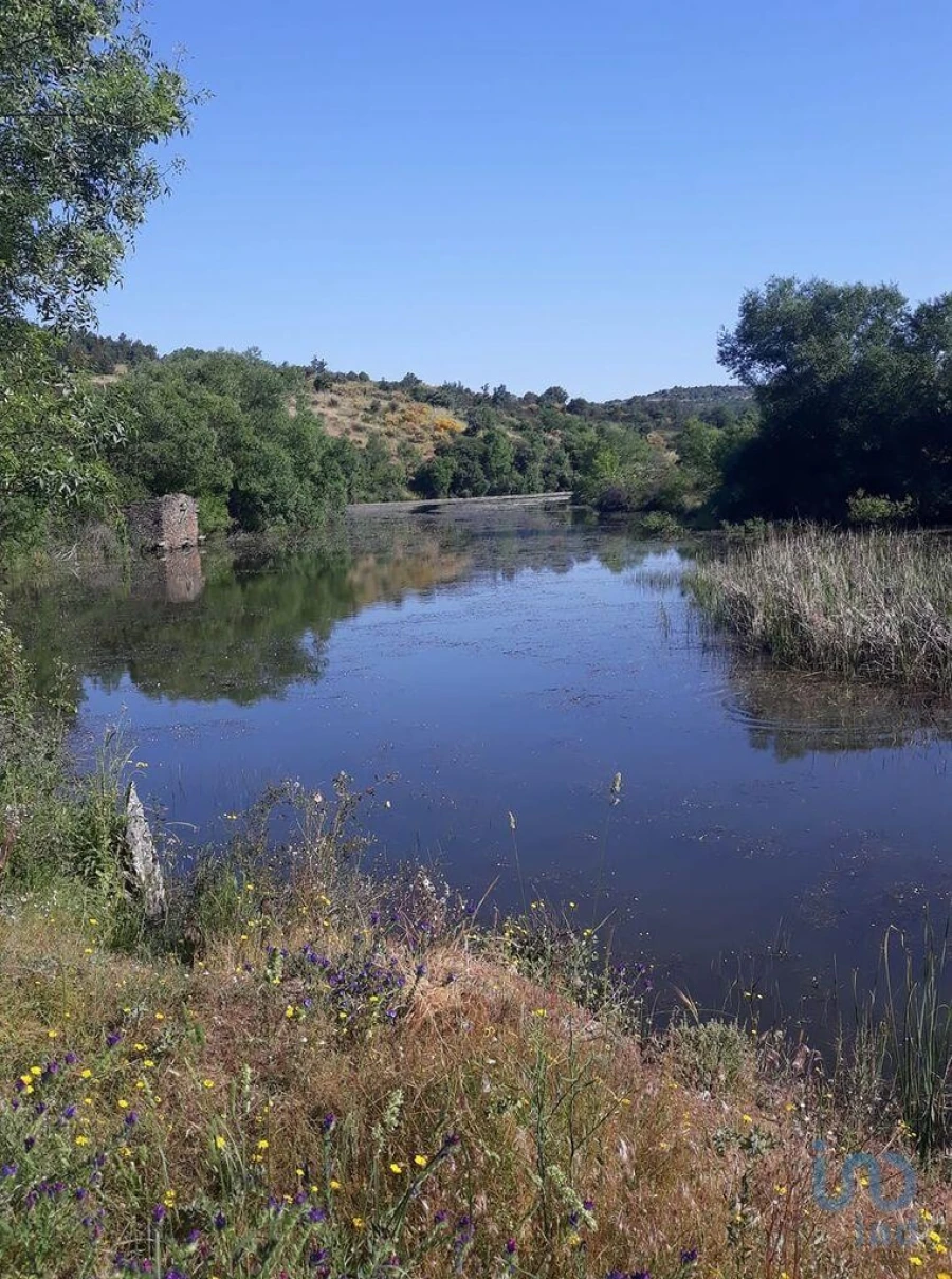 Terreno para Venda em Azinhoso Foto 6
