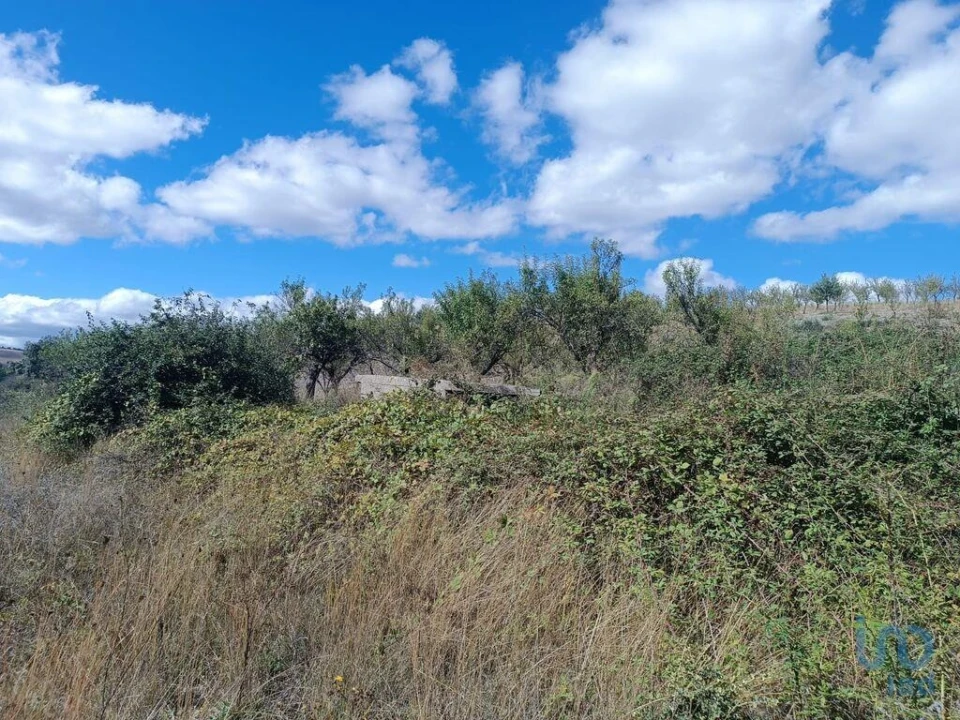 Terreno para Venda em Azinhoso Foto 3