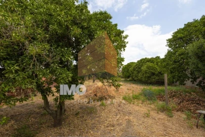 Moradia T3 para Venda em Alpiarça
