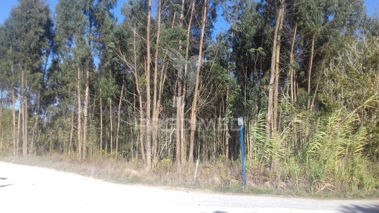 Terreno para Venda em Reguengo Grande Foto 2