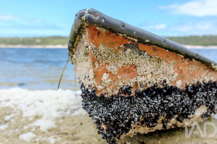 Moradia T4 para Venda em Sesimbra (Castelo) Foto 16