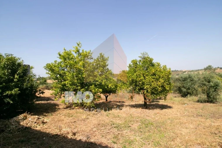 Moradia T5 para Venda em Abitureiras Foto 26