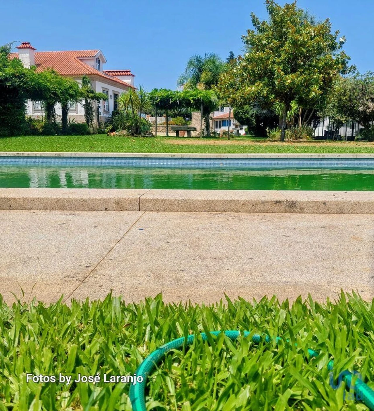 Negócio para Venda em Correlhã Foto 1