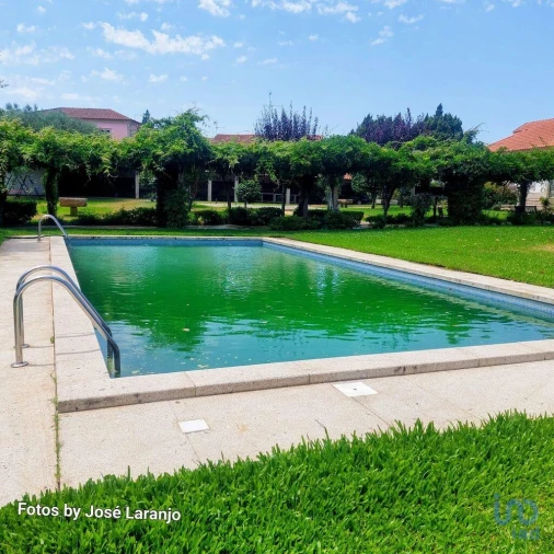 Negócio para Venda em Correlhã Foto 8