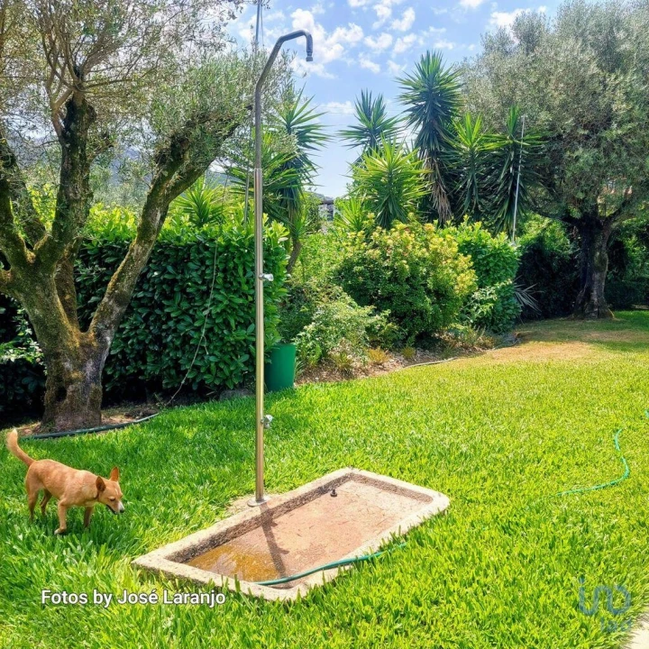 Negócio para Venda em Correlhã Foto 2