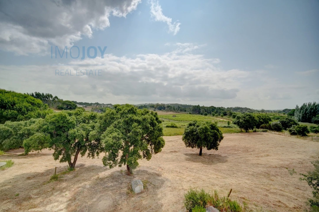 Quinta T3 para Venda em Alcoentre Foto 36