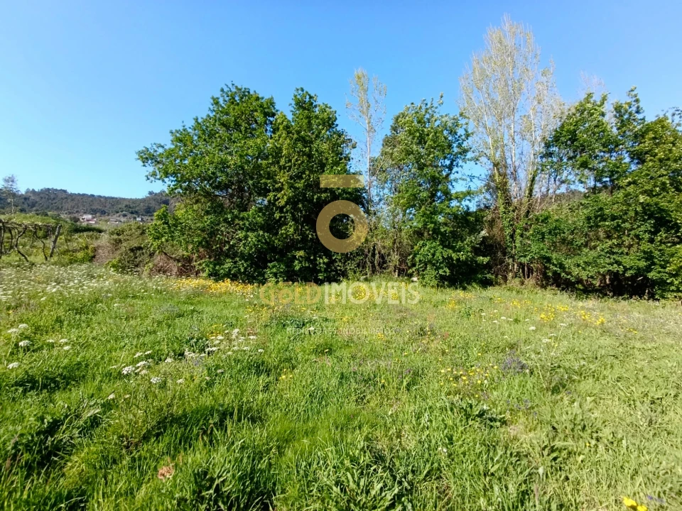 Terreno Agricola ou Rústico para Venda em Luzim e Vila Cova Foto 4