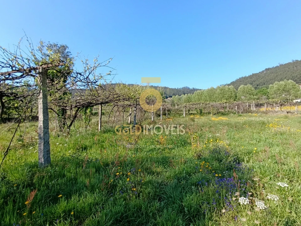 Terreno Agricola ou Rústico para Venda em Luzim e Vila Cova Foto 7