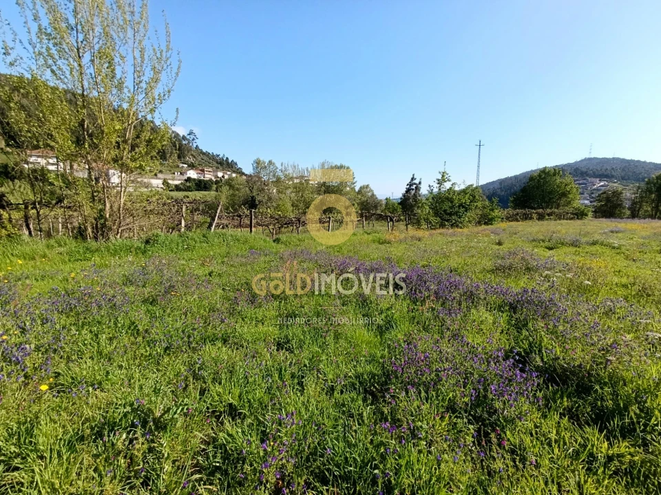 Terreno Agricola ou Rústico para Venda em Luzim e Vila Cova Foto 1
