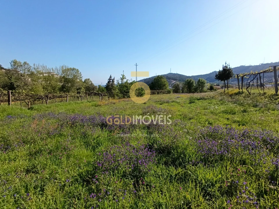 Terreno Agricola ou Rústico para Venda em Luzim e Vila Cova Foto 5