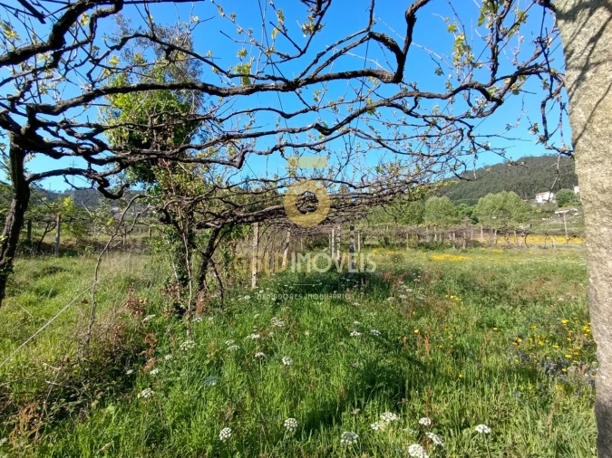 Terreno Agricola ou Rústico para Venda em Luzim e Vila Cova Foto 3