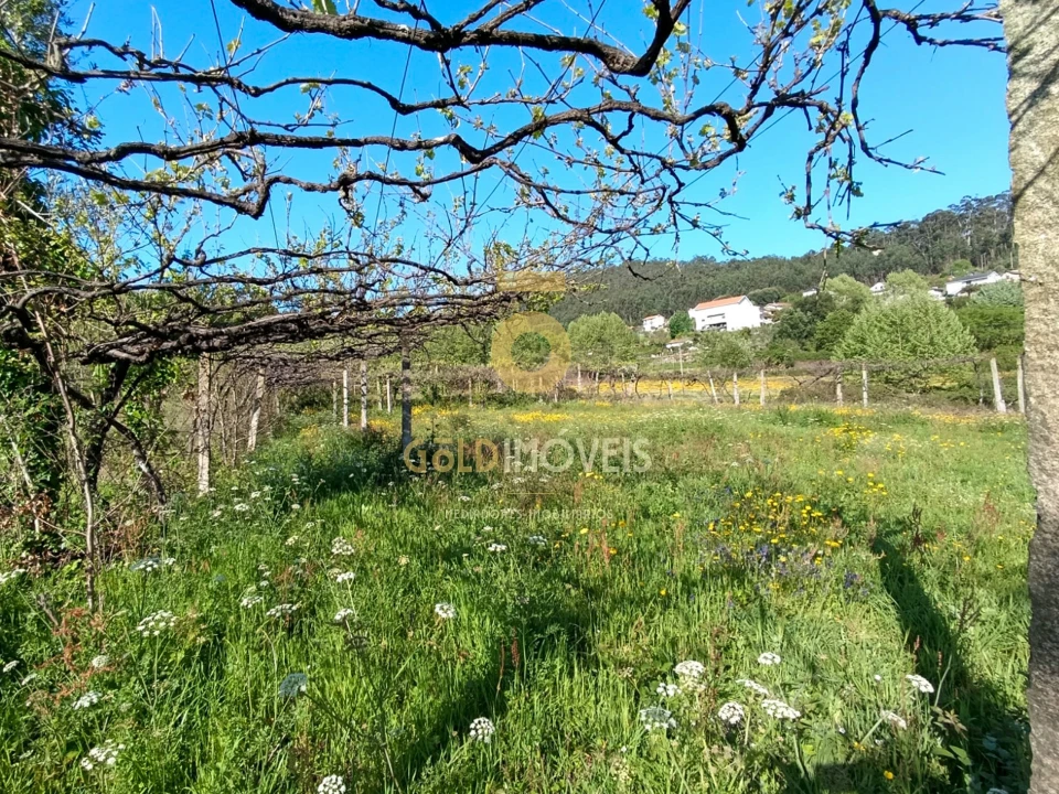 Terreno Agricola ou Rústico para Venda em Luzim e Vila Cova Foto 8