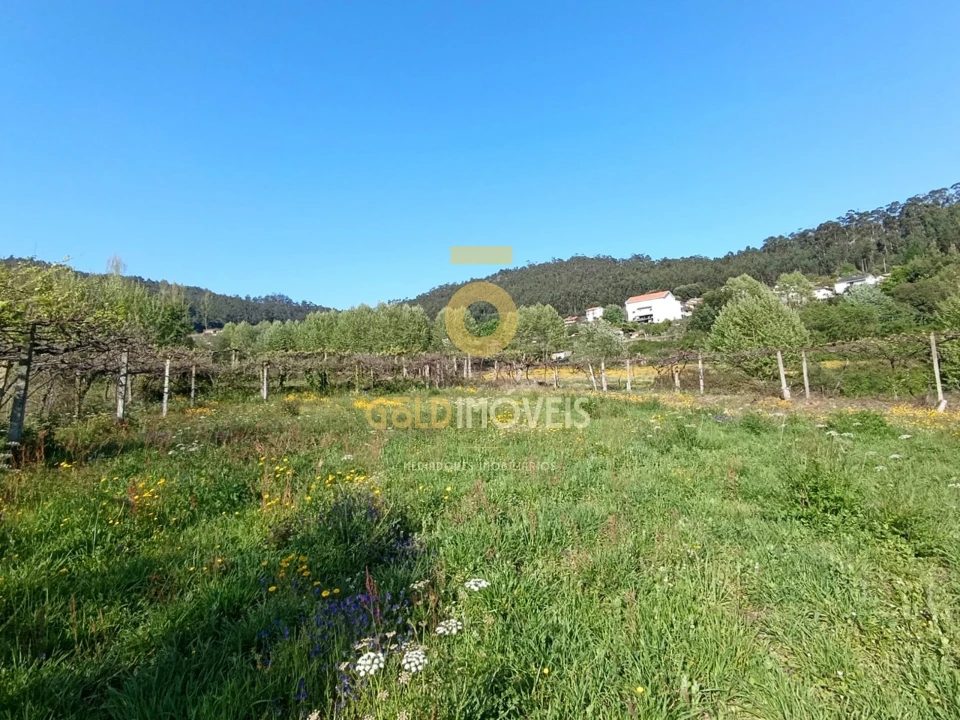 Terreno Agricola ou Rústico para Venda em Luzim e Vila Cova Foto 6