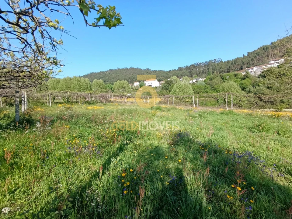 Terreno Agricola ou Rústico para Venda em Luzim e Vila Cova Foto 10