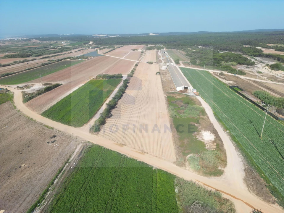 Terreno para Venda em Ferrel Foto 2