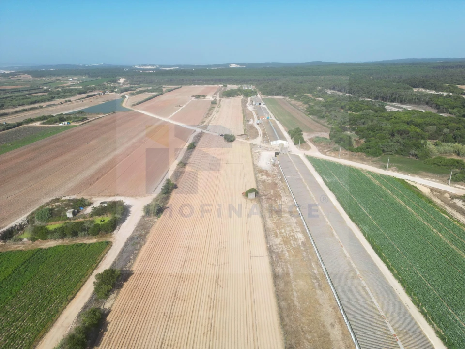Terreno para Venda em Ferrel Foto 10