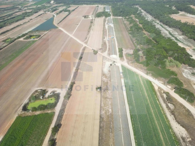 Terreno para Venda em Ferrel Foto 1