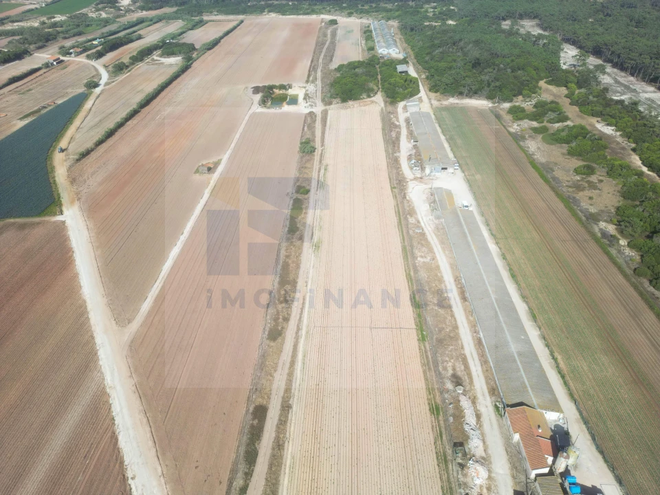 Terreno para Venda em Ferrel Foto 7