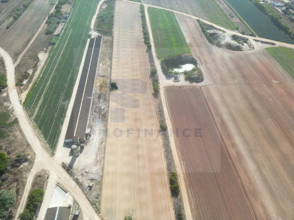 Terreno para Venda em Ferrel Foto 6