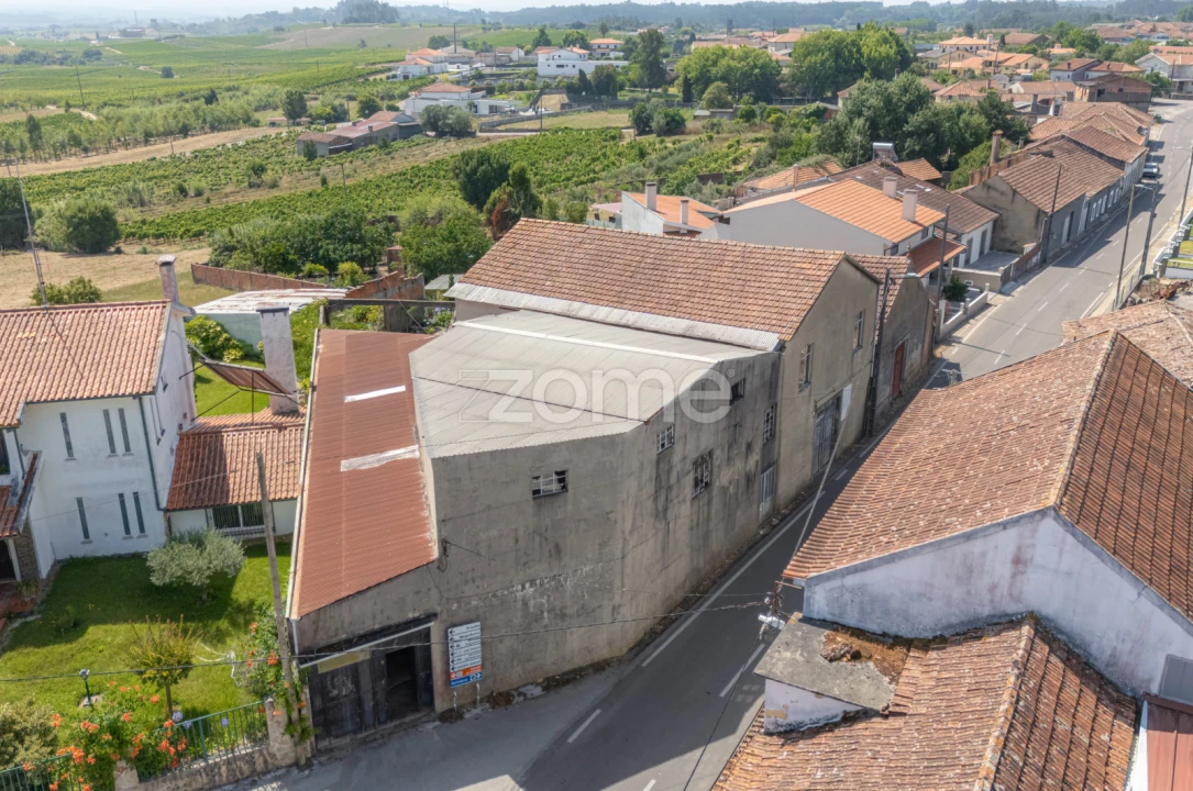 Terreno Comércio / Armazém para Venda em Amoreira da Gândara, Paredes do Bairro e Ancas Foto 3