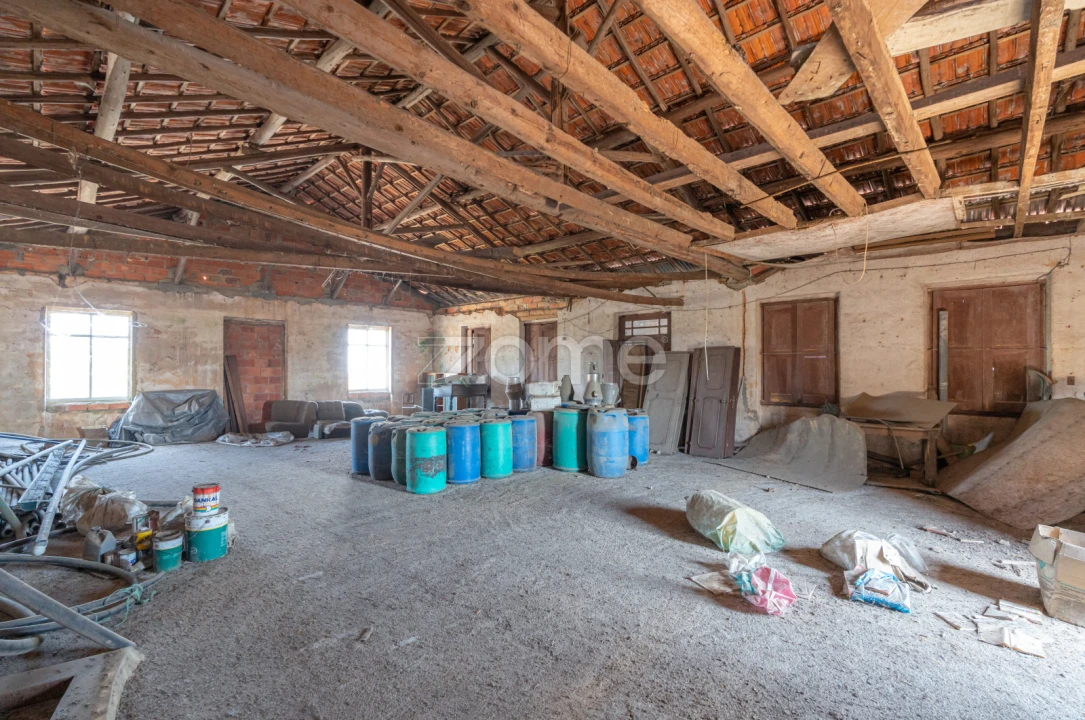 Terreno Comércio / Armazém para Venda em Amoreira da Gândara, Paredes do Bairro e Ancas Foto 12