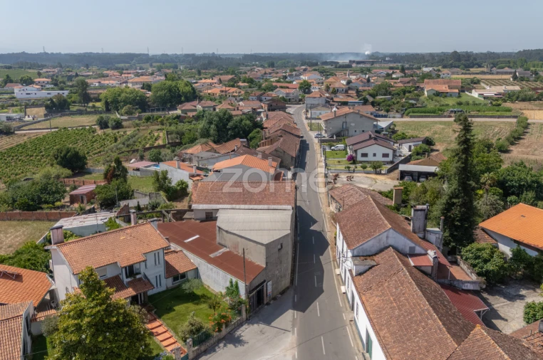 Terreno Comércio / Armazém para Venda em Amoreira da Gândara, Paredes do Bairro e Ancas Foto 6