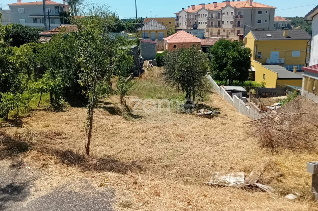Terreno para Venda em Águeda e Borralha Foto 9