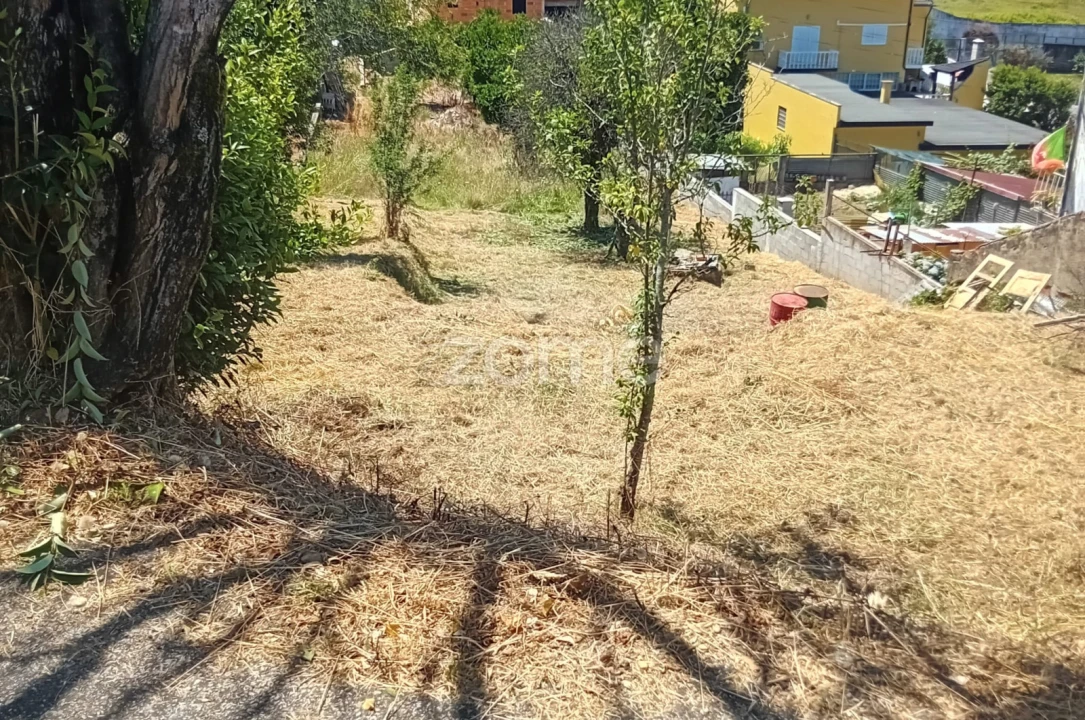 Terreno para Venda em Águeda e Borralha Foto 10