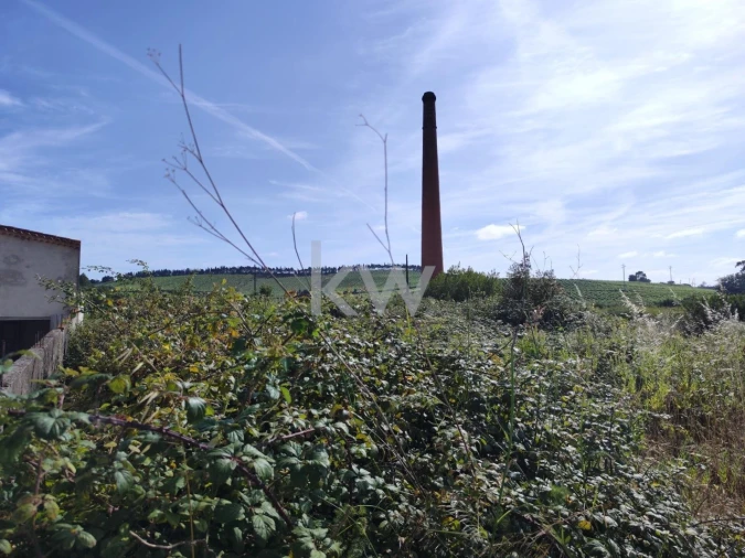 Terreno para Venda em Aldeia Galega da Merceana e Aldeia Gavinha Foto 13