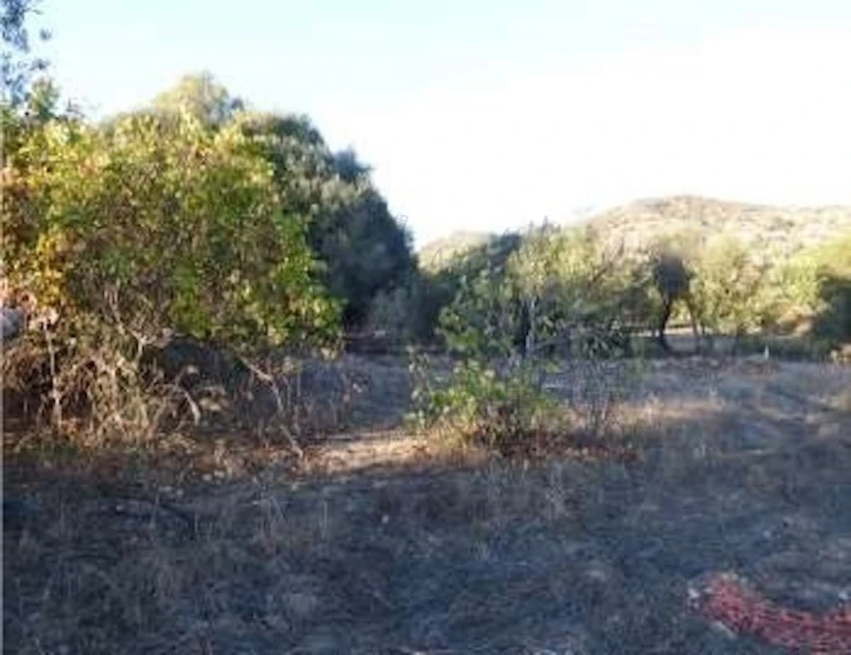 Quinta T6 para Venda em Santa Catarina da Fonte do Bispo Foto 14