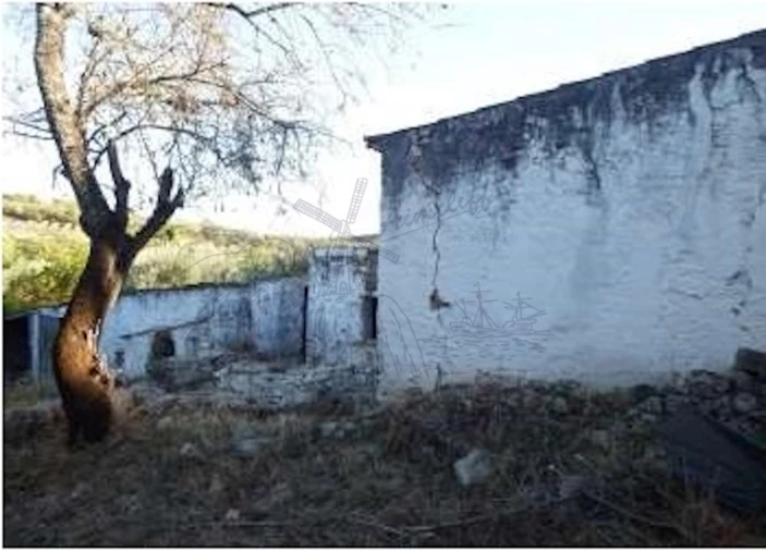 Quinta T6 para Venda em Santa Catarina da Fonte do Bispo Foto 12