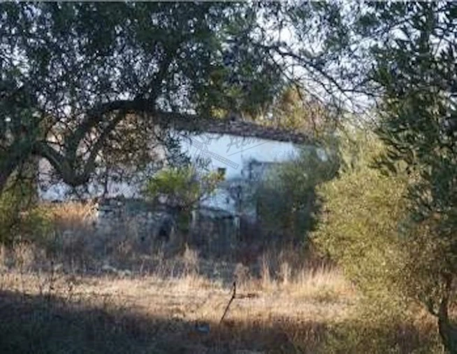 Quinta T6 para Venda em Santa Catarina da Fonte do Bispo Foto 13