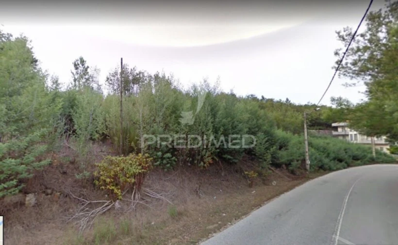 Terreno para Venda em Canas de Senhorim