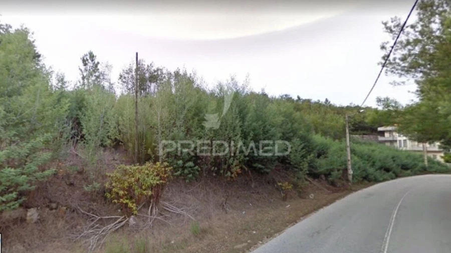 Terreno para Venda em Canas de Senhorim