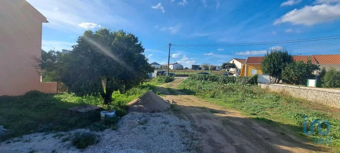 Terreno para Venda em Vermelha Foto 9