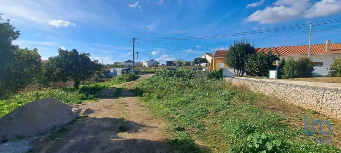 Terreno para Venda em Vermelha Foto 7