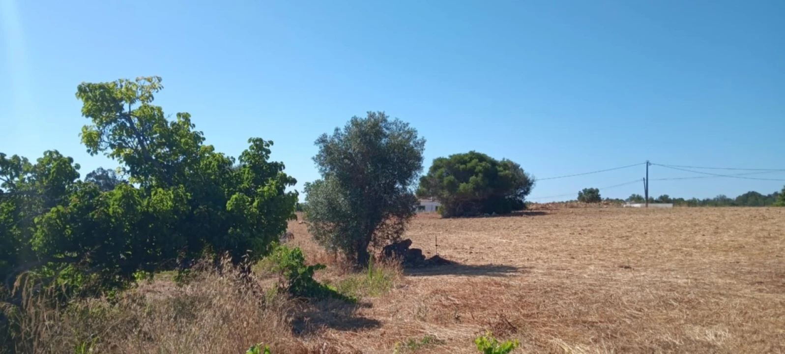 Terreno Agricola ou Rústico para Venda em Odiaxere Foto 2