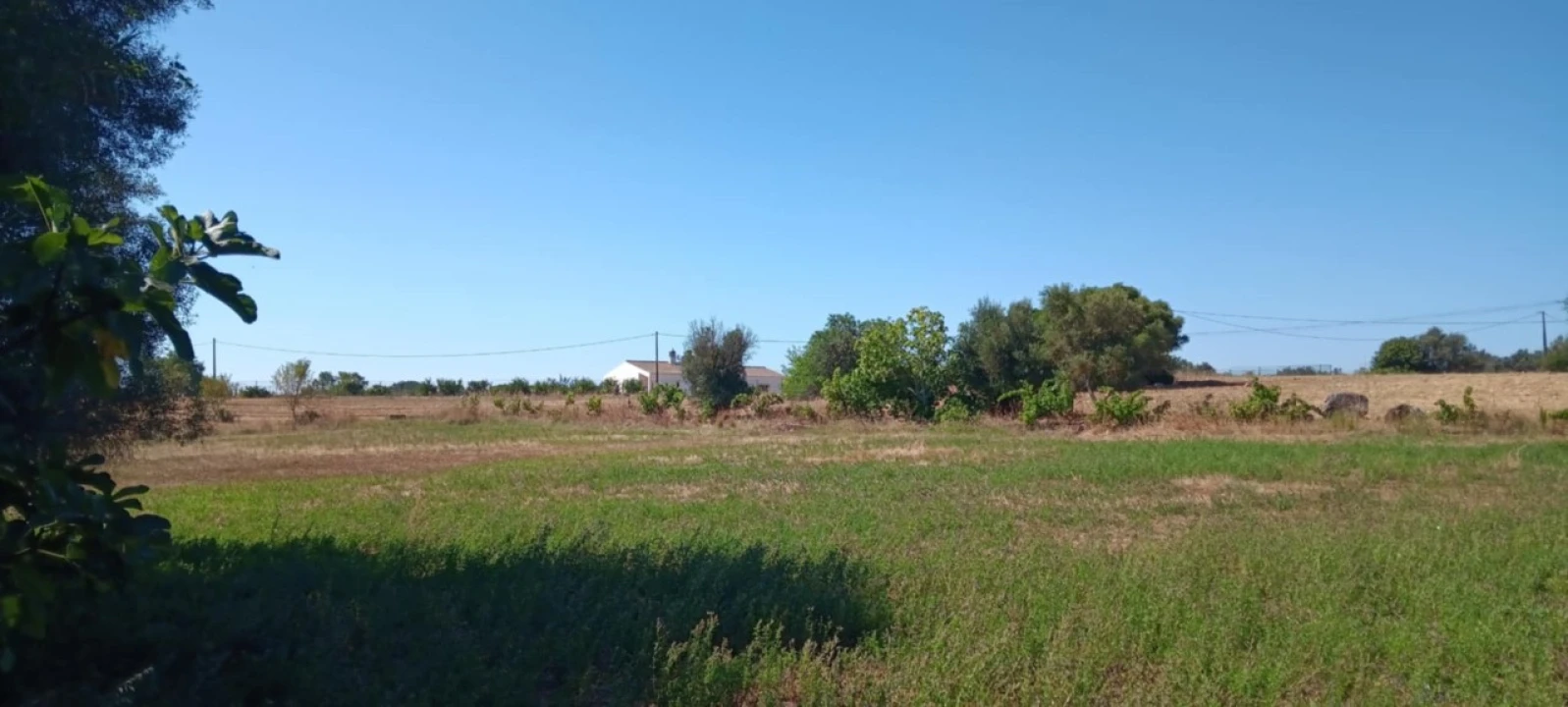 Terreno Agricola ou Rústico para Venda em Odiaxere Foto 3
