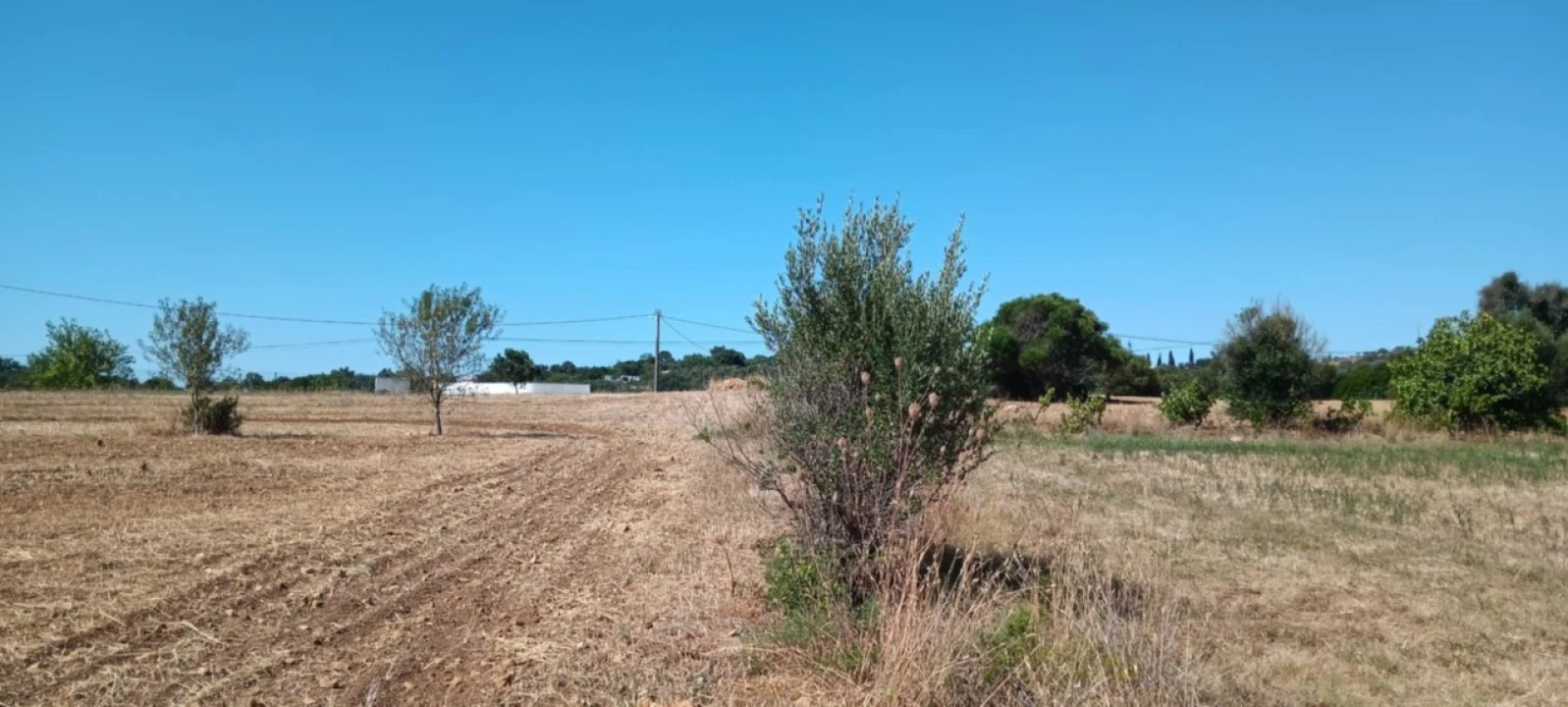 Terreno Agricola ou Rústico para Venda em Odiaxere Foto 4