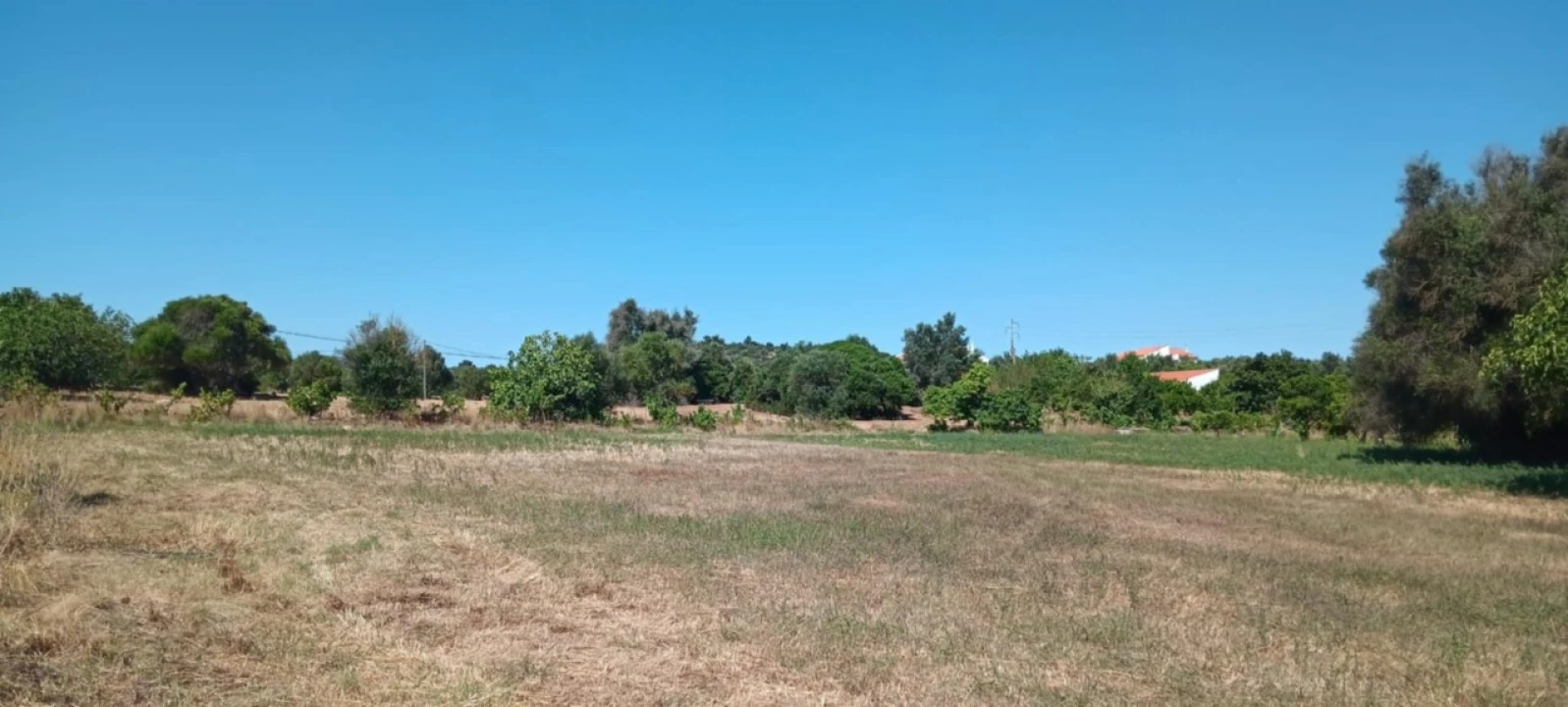 Terreno Agricola ou Rústico para Venda em Odiaxere Foto 5
